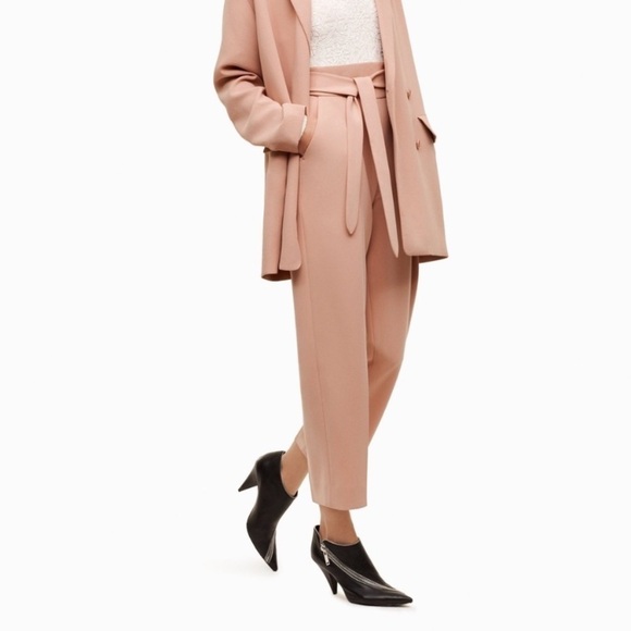 Aritzia Wilfred Feuille Pants Front Tie Belted Straight leg High Rise Waist Pink - Picture 4 of 15